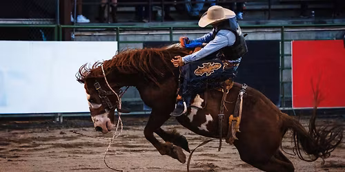 Jackson Hole Rodeo