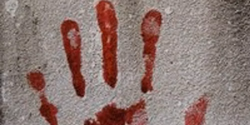 Vanessa's True Crime Quiz