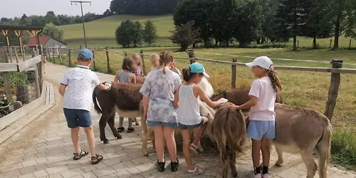  Urice z \u017eivalmi za najmlaj\u0161e 