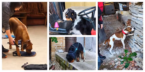 PLNO - Zimn\u00ed NW v\u00edkend s Michalem Kotkem