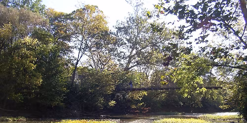 Alum Creek Honeysuckle Hack in Bexley