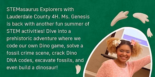 STEMasaurus Explorers- Fossil Excavation