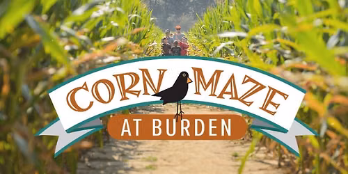 Corn Maze at Burden