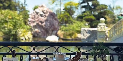 Tr\u00e0 h\u1ecdc d\u01b0\u1edbi m\u00e1i r\u1eebng