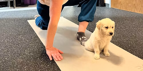 Puppy Yoga