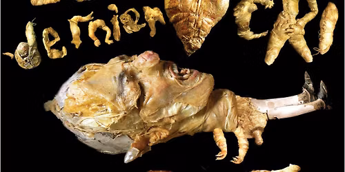 [Festival Papelard] Le Dernier Cri movie de Vincent G\u00e9rard et C\u00e9dric Laty