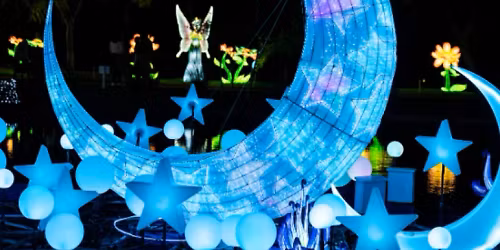 Illuminate San Antonio Botanical Gardens and Tasting at Postino on Broadway