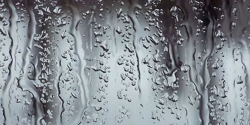 Infoavond: regenwater optimaal benutten