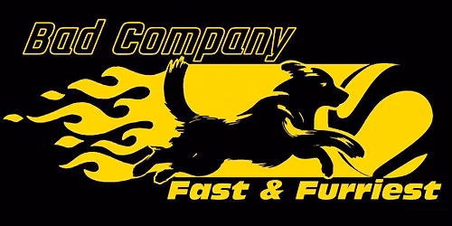 Fast & Furriest 2026