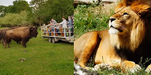 Tagesbusfahrt zur Wildfarm in Schenkenberg und dem Tierpark Ueckerm\u00fcnde