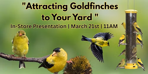 In-Store Presentation: "Attracting Goldfinches to Your Yard"