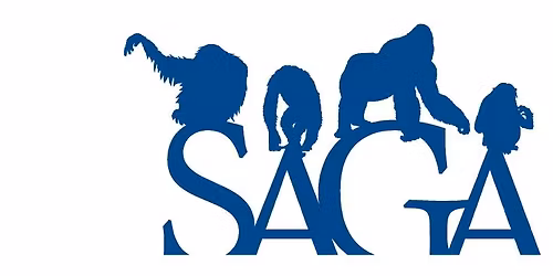 SAGA27\u30b7\u30f3\u30dd\u30b8\u30a6\u30e0