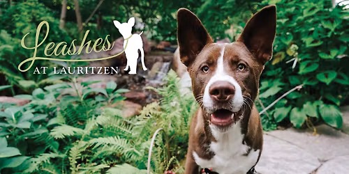 Leashes at Lauritzen