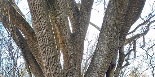 Shelby Bottoms Park Friend-zy