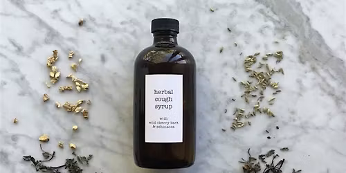 Learn Herbal Medicine: Tick Bite salve to help prevents Lyme's Disease