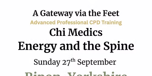 The Chi Medics Energy & the Spine Course, Ripon