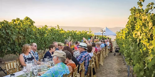 Dinner In The Vines