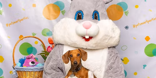 Easter Bunny Photos