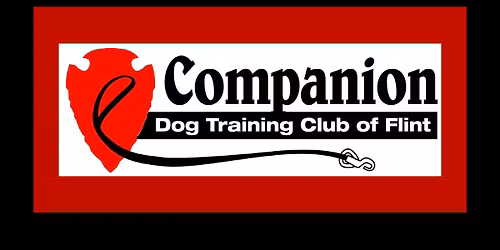 Obedience Fun Match