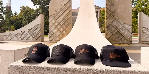 Maple Ave Block Party