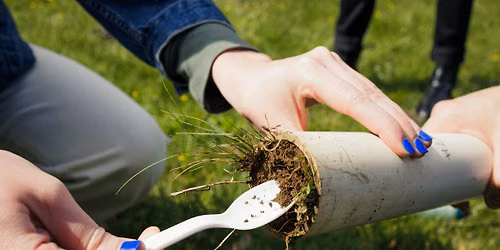 Explore Green-Wood\u2019s Fungal Biodiversity: Mushroom Hotspot