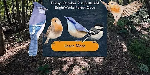 Birds & Brews