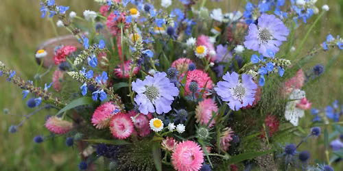 Midsummer - Summer Solstice at Yew Lane