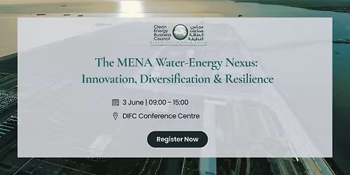 The MENA Water-Energy Nexus: Innovation, Diversification & Resilience