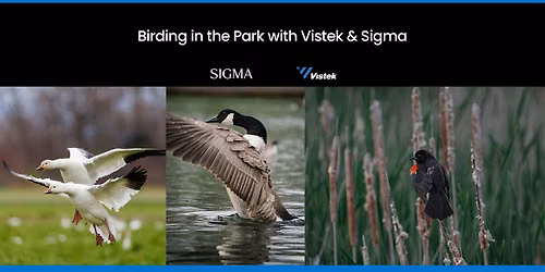 Birding in the Park with Vistek & Sigma
