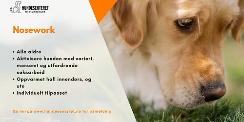 Nosework (ledige plasser)