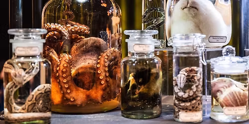 World Oddities Expo at National Western Complex