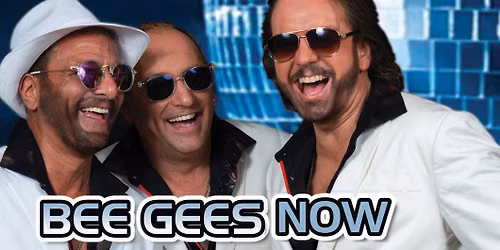 Bee Gees Now