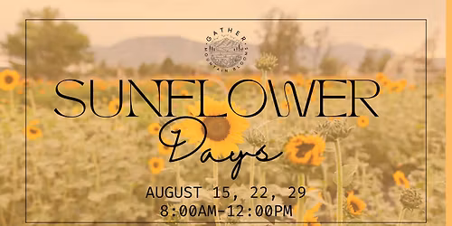 Sunflower Days
