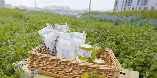Journ\u00e9es du patrimoine - Atelier tisane