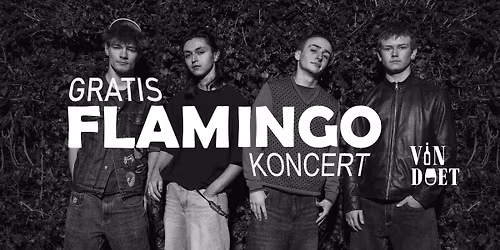 Koncert: Flamingo - Ung, lokal, alternativ rock - fri entr\u00e9