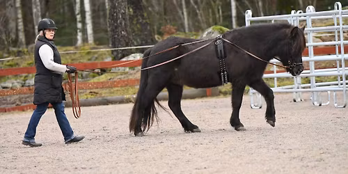 Tr\u00e4ningst\u00e4vling t\u00f6mk\u00f6rning 