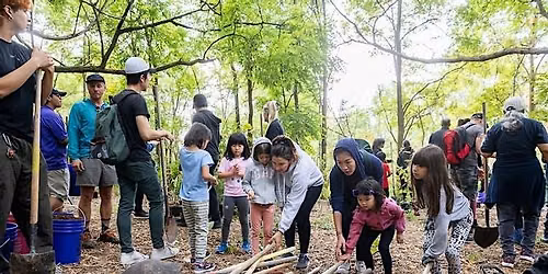 Tree planting \/\/ Plantation d\u2019arbres