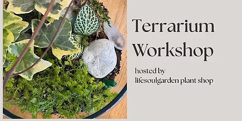 Terrarium Workshop