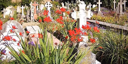 06. Explore St Marks Cemetery (12 Sept at 1400)