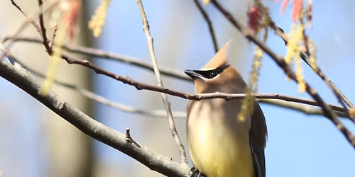Field Trip to Great Dismal Swamp