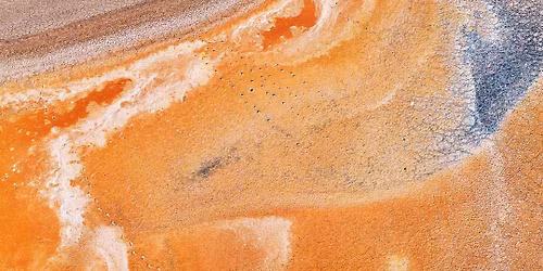 Salt and Silt Exhibition Opening