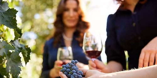 Mizel Estate Wines - Wine Tasting in the Vineyard