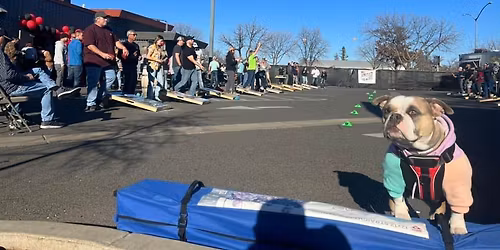 Toss 4 Tails - Better World Rescue