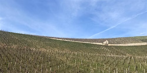 Conversations in Burgundy: Exploring Chablis