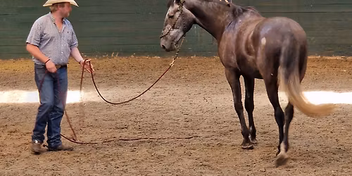 AY Horsemanship Clinic - Ledston EC