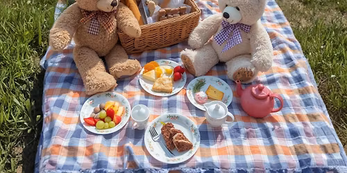 Teddy Bears Picnic & Sleepover