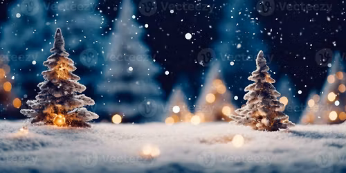 Walsall Christmas Party