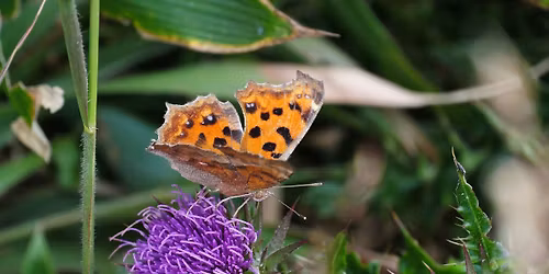 Onkojoga: 14-15 i 28-29.03.2026