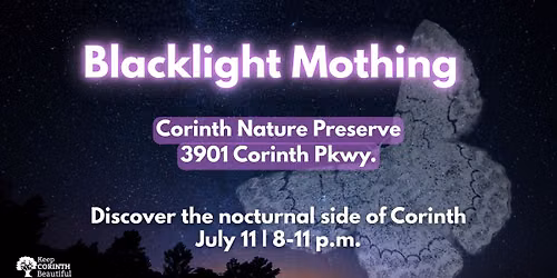 Blacklight Mothing