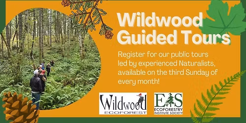 Wildwood Eco Forest Guided Tours